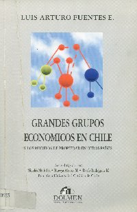 Imagen de la cubierta de Grandes grupos econ&oacute;micos en Chile y los modelos de propiedad en otros pa&iacute;ses