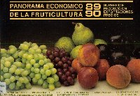 Imagen de la cubierta de Panorama econ&oacute;mico de la agricultura 89-90.