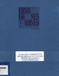 Imagen de la cubierta de Evoluci&oacute;n y perspectivas de los cr&eacute;ditos de consumo: sistema financiero y casas comerciales