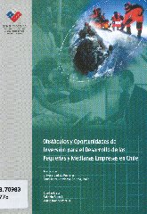 Imagen de la cubierta de Obst&aacute;culos y oportunidades de inversi&oacute;n para el desarrollo de las peque&ntilde;as y medianas empresas en Chile
